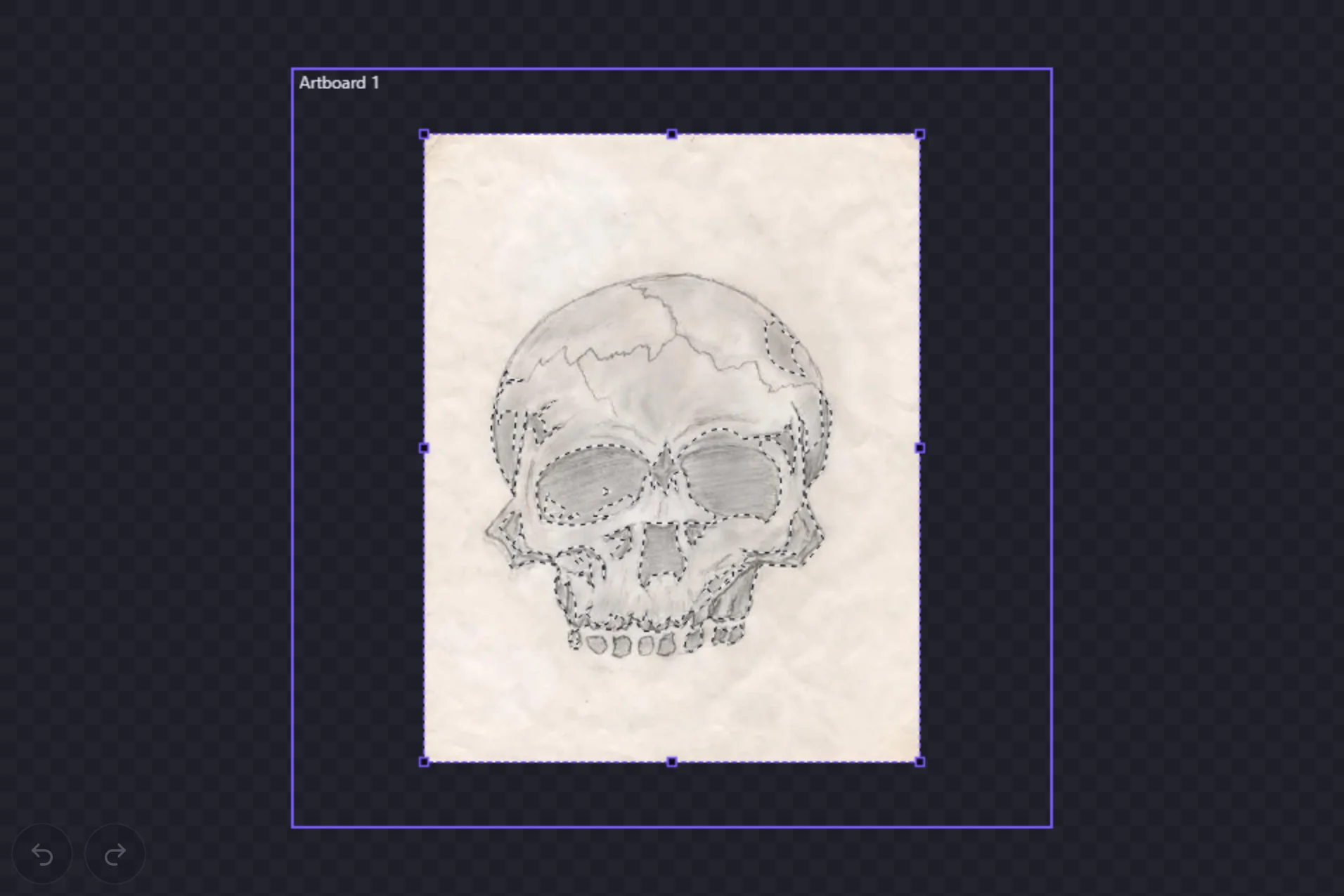 A pencil sketch of a skull placed on the canvas, with the live trace preview drawn as marching ants around the regions it will turn into vectors